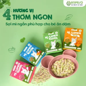 Mì Somen Ăn Dặm ANPASO Vị Rau Củ, Cải Bó Xôi, Củ Cải Đỏ Và Củ Dền, Bí Đỏ 100g