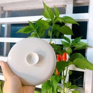 Nắp thố bear loại 1.6L