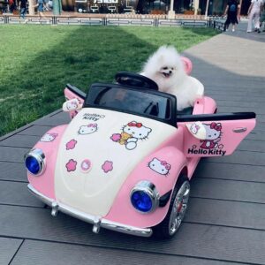 Xê ô tô Kitty